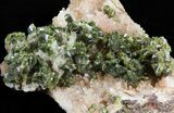 Lustrous, Epidote Crystal Cluster - Morocco #40875-1